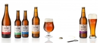 Pivo Holendr